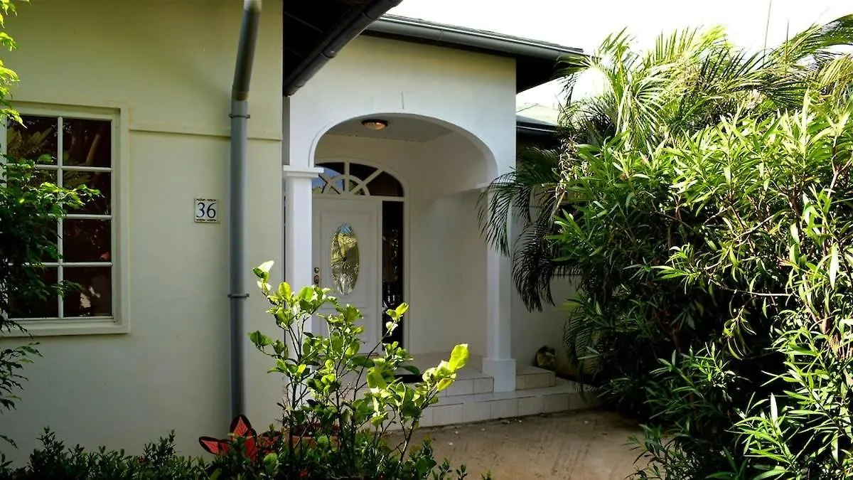 Parrot Villa - Stunning Vacation Home Near Eagle Beach Palm Beach
