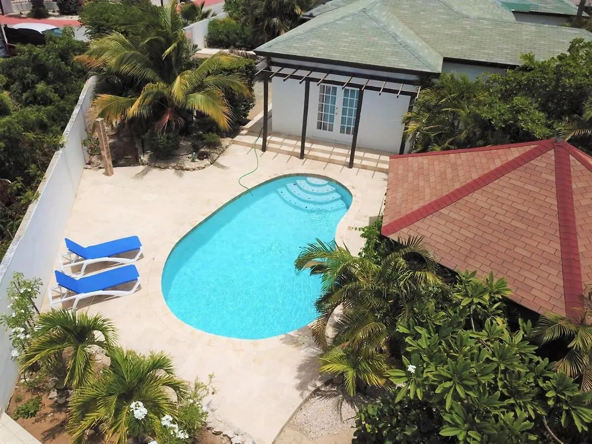 Parrot Villa - Stunning Vacation Home Near Eagle Beach Palm Beach