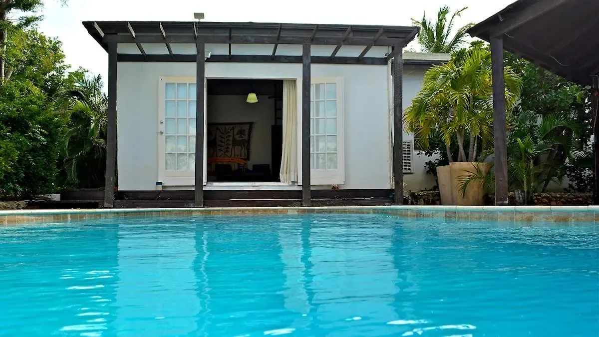 Parrot Villa - Stunning Vacation Home Near Eagle Beach Palm Beach
