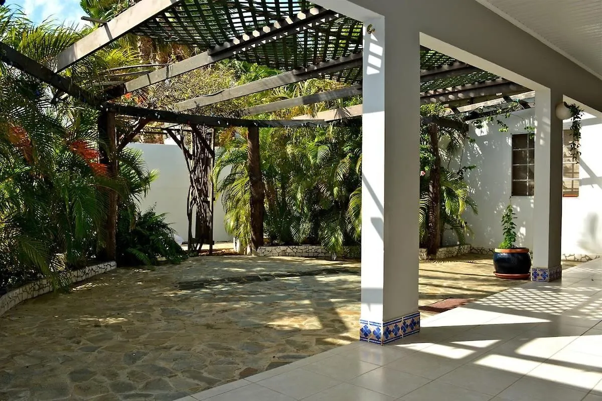 Parrot Villa - Stunning Vacation Home Near Eagle Beach Palm Beach